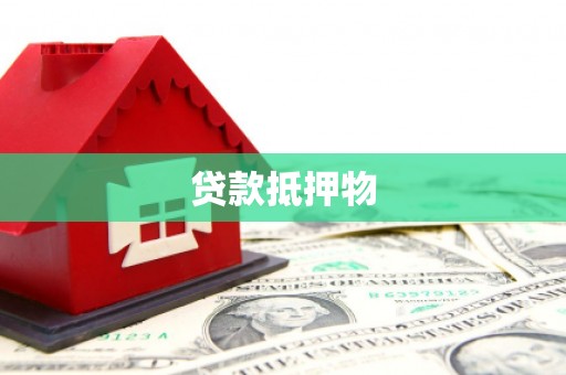 兰坪贷款抵押物