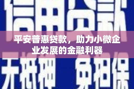 兰坪平安普惠贷款，助力小微企业发展的金融利器